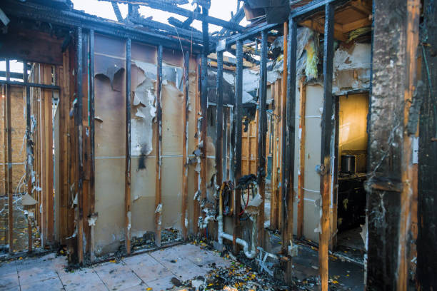 Professional Soot Cleanup technician working in Dennison, MN